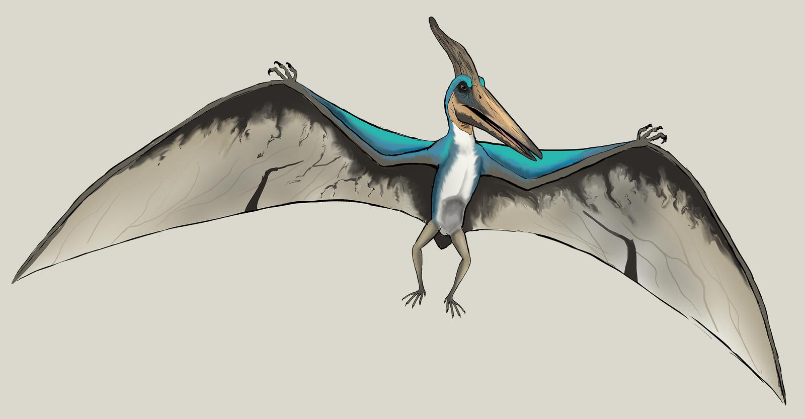 the_lost_world_jurassic_park_pteranodon_male_by_nikorex_dbxkhae-fullview.jpg