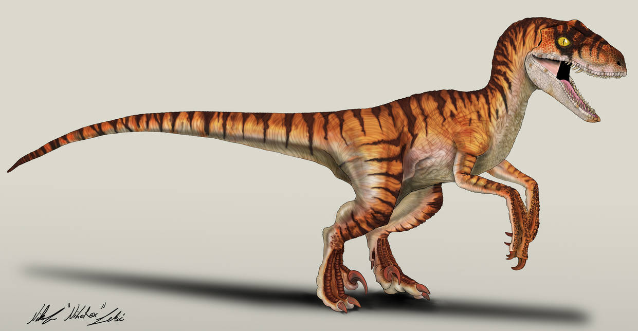the_lost_world_jurassic_park_velociraptor_male_by_nikorex_dbyme0q-pre.jpg