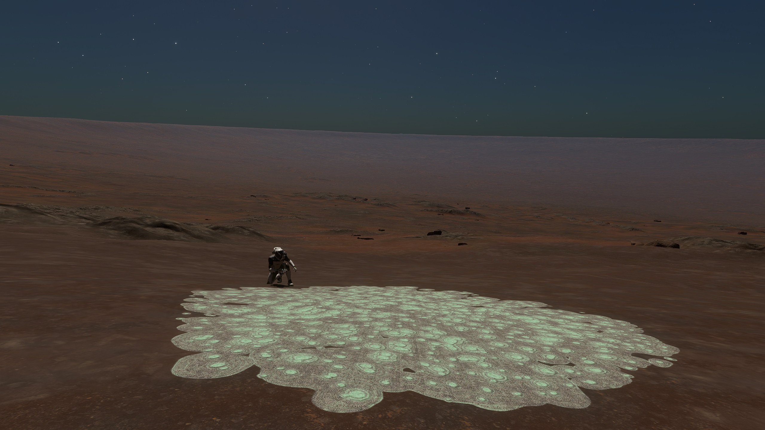 thermophile.jpg