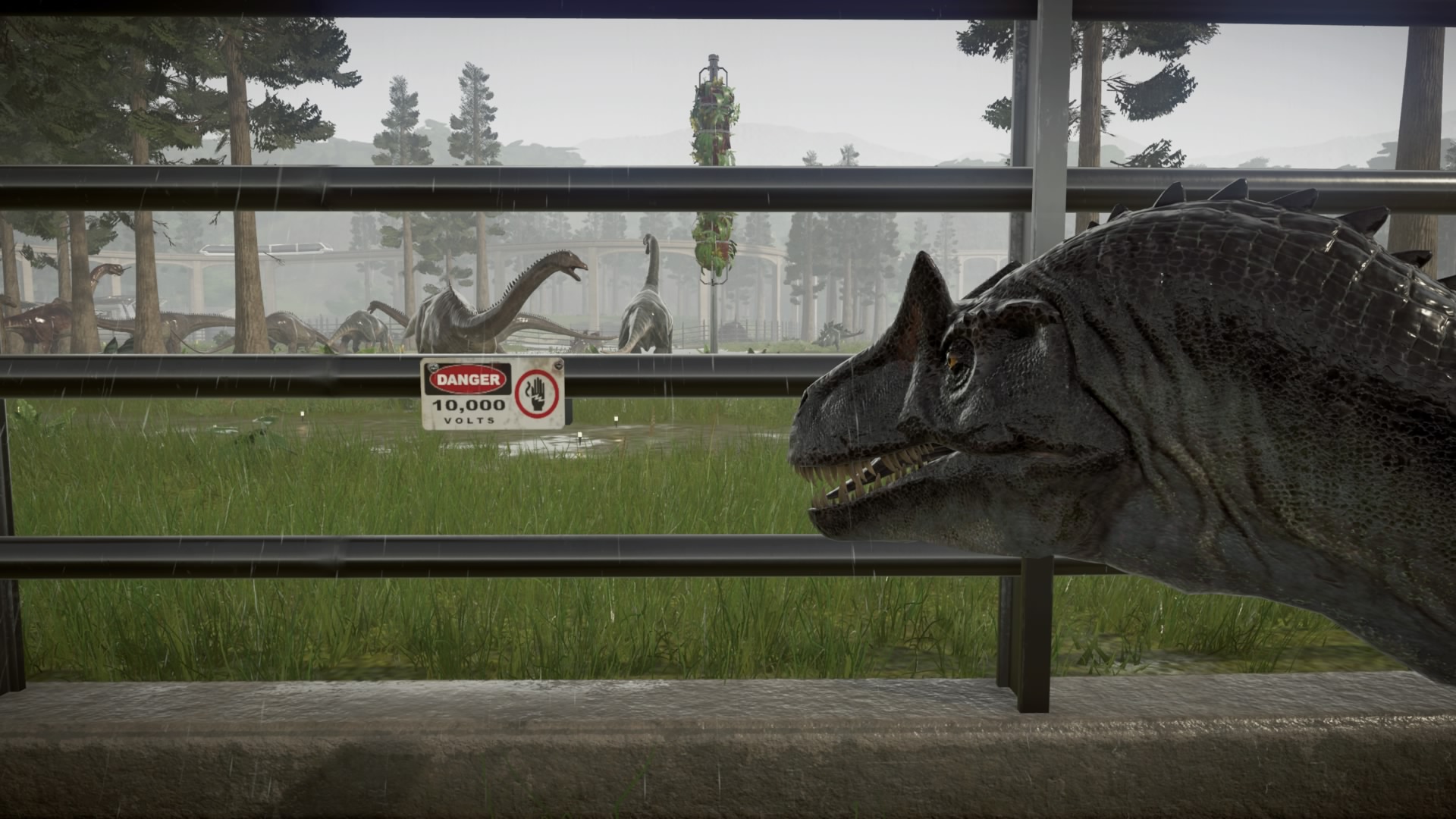 ThisSign.jpg