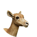 thumbnail_blackbuck_f_normal.png