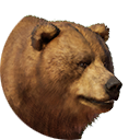 thumbnail_himalayanbrownbear_f_normal.PNG