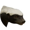 thumbnail_honeybadger_f_normal.png