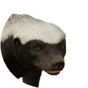 thumbnail_honeybadger_m_normal.png