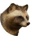 thumbnail_japaneseraccoondog_f_normal.png