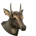 thumbnail_nilgai_m_normal.png