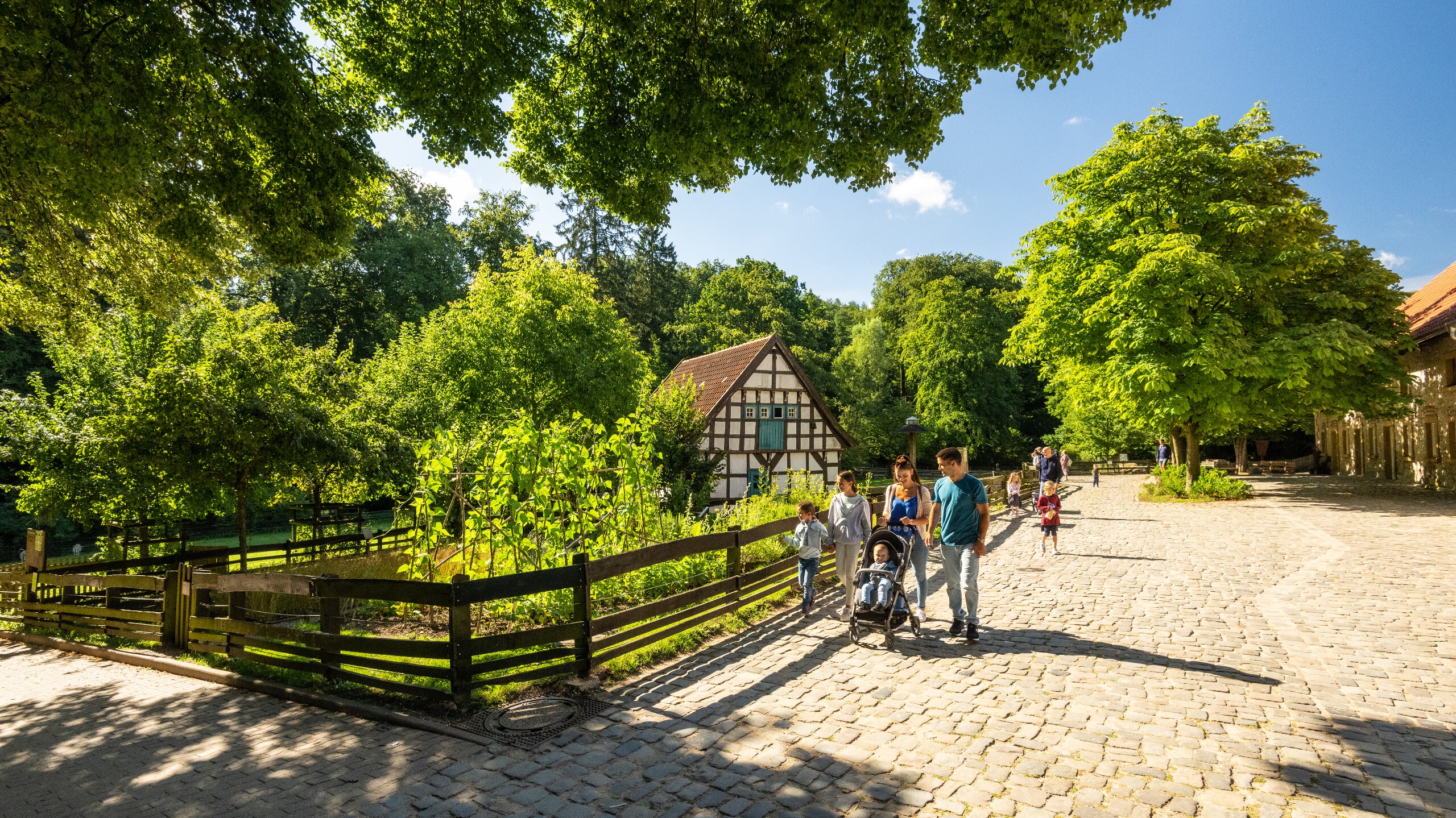 Tierpark.jpg