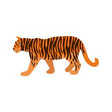 Tiger.jpg