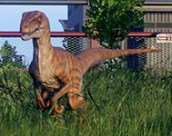 Tiger raptor.png