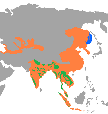 Tiger_distribution2.png