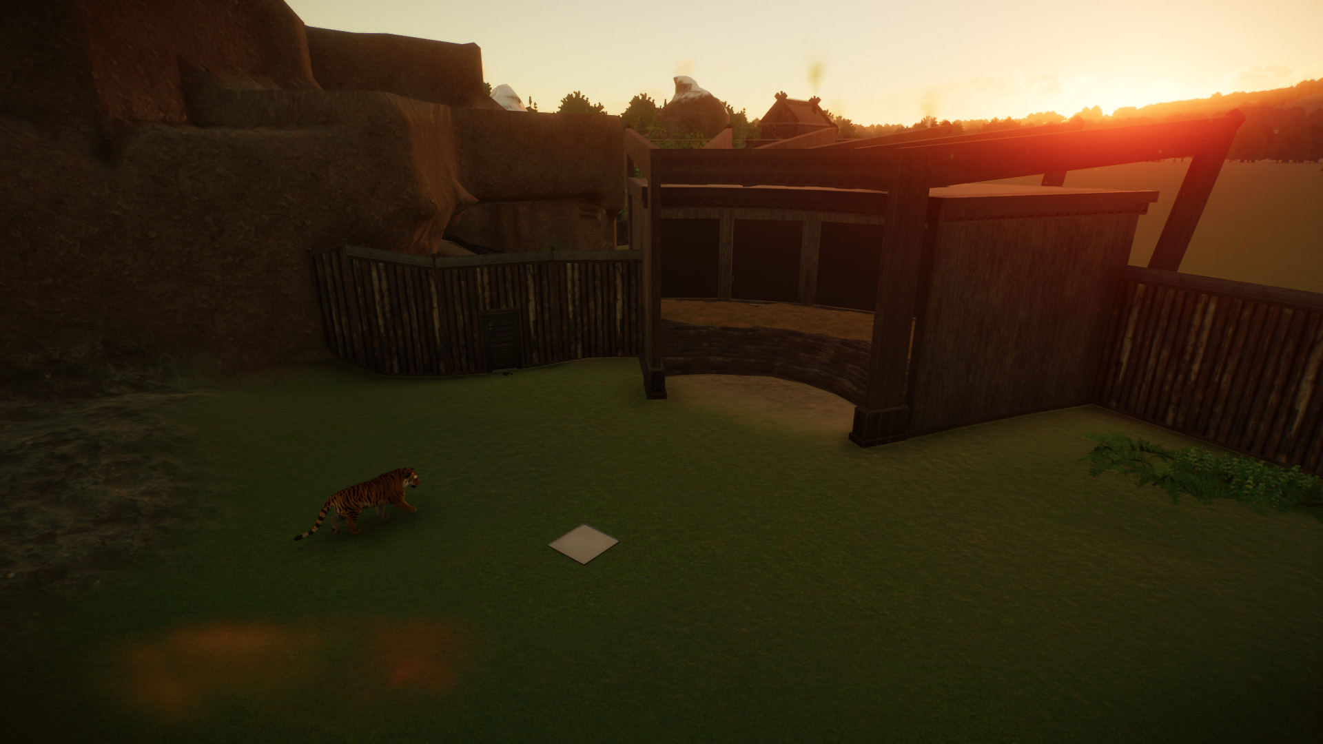 Tigers Shelter 05.jpg