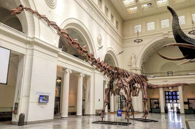 titanosaur.jpg