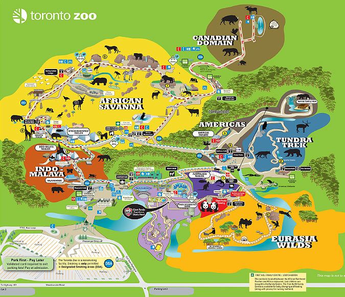 toronto zoo.jpg