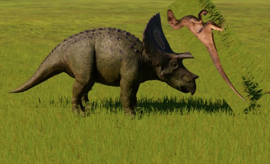 tororaptor.jpg