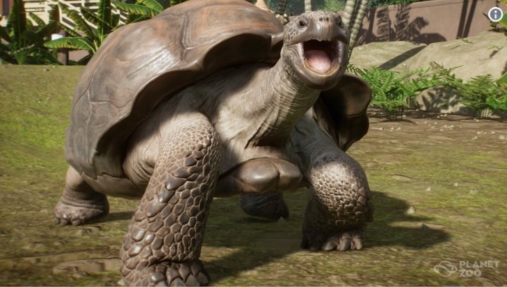 132541