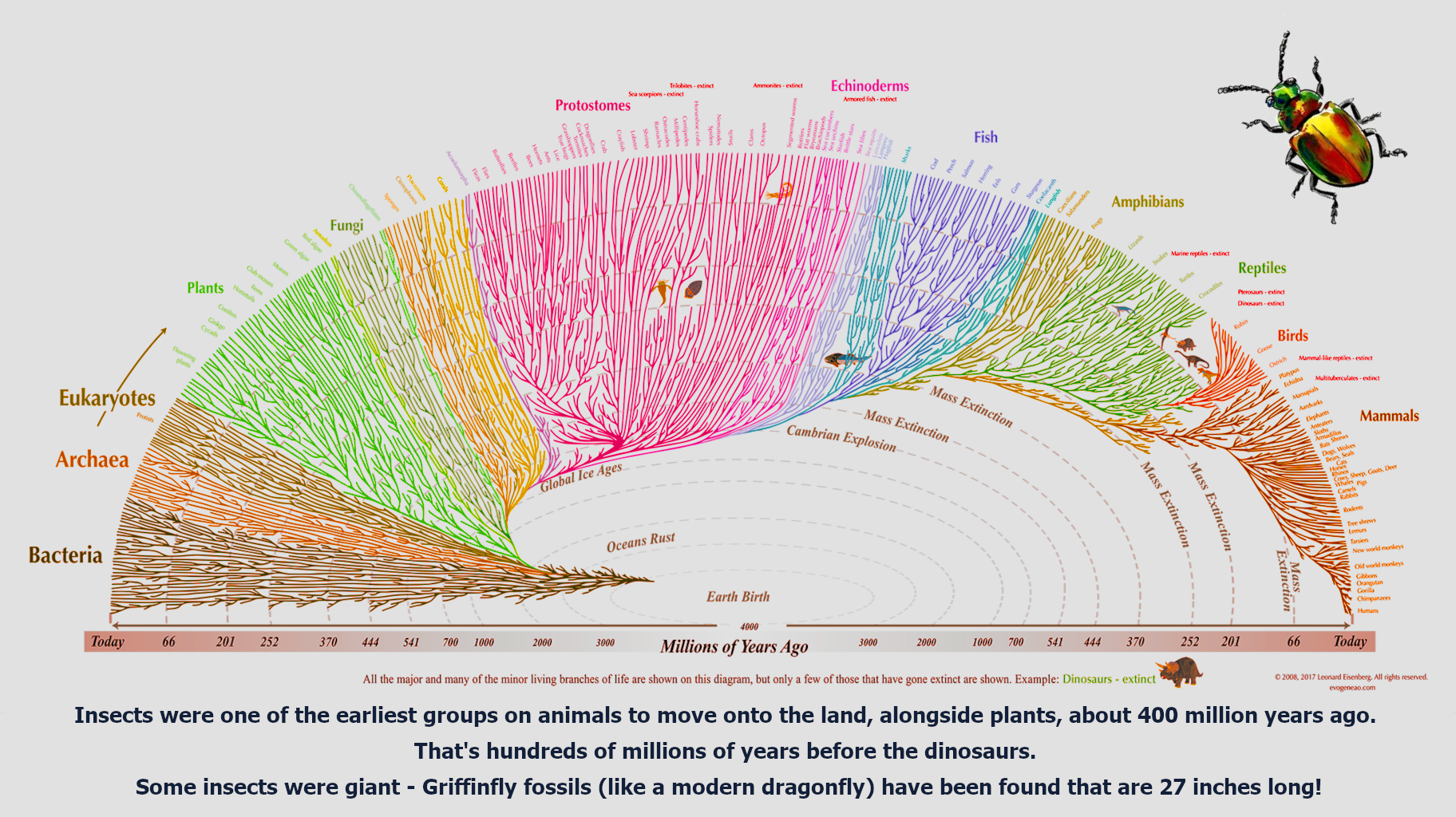 tree-of-life_2000 (2).png