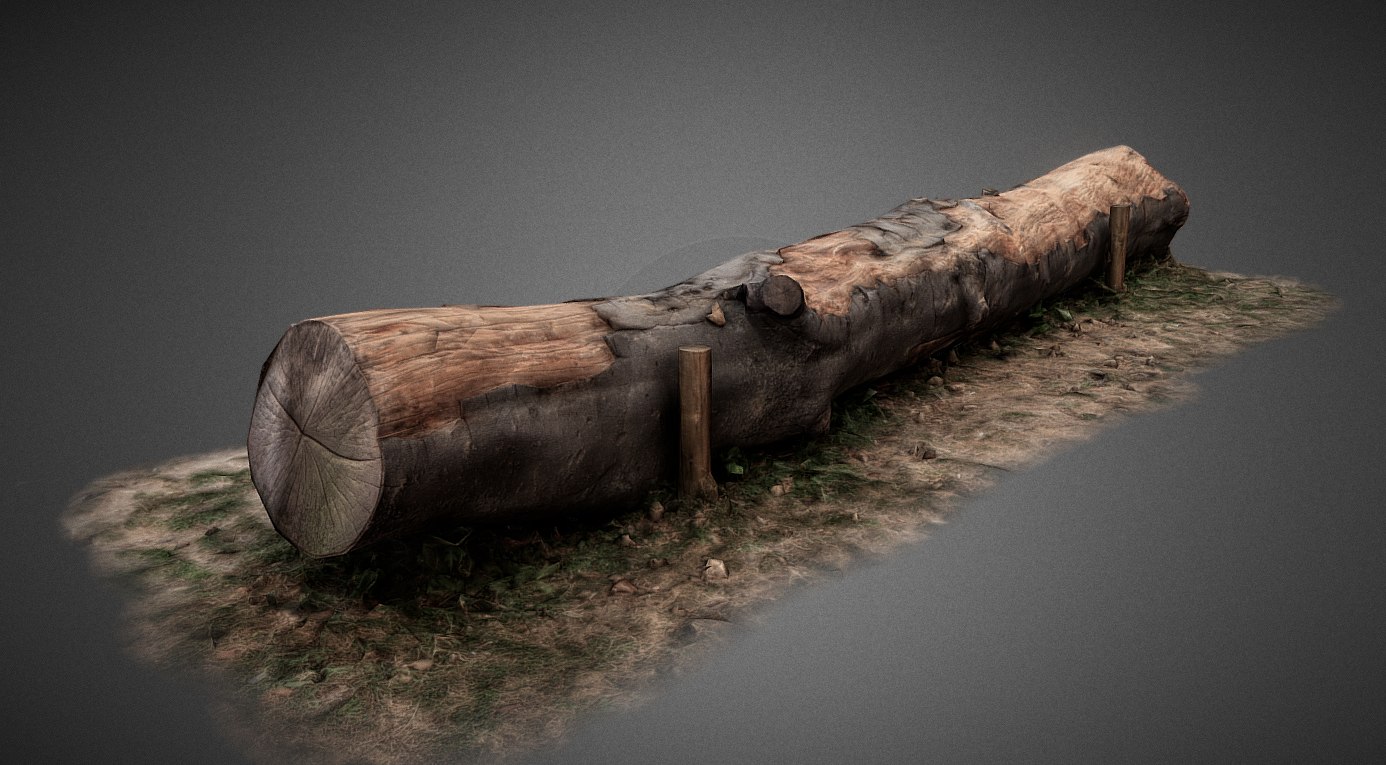 tree004.jpg