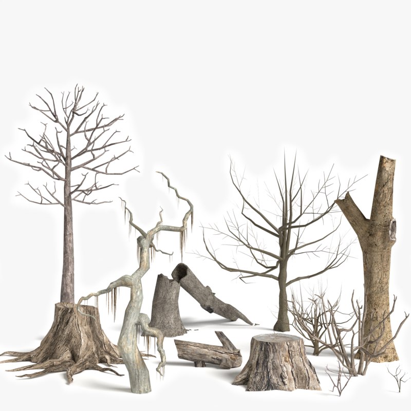 tree1266.jpg