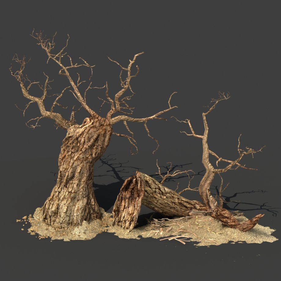 tree924.jpg