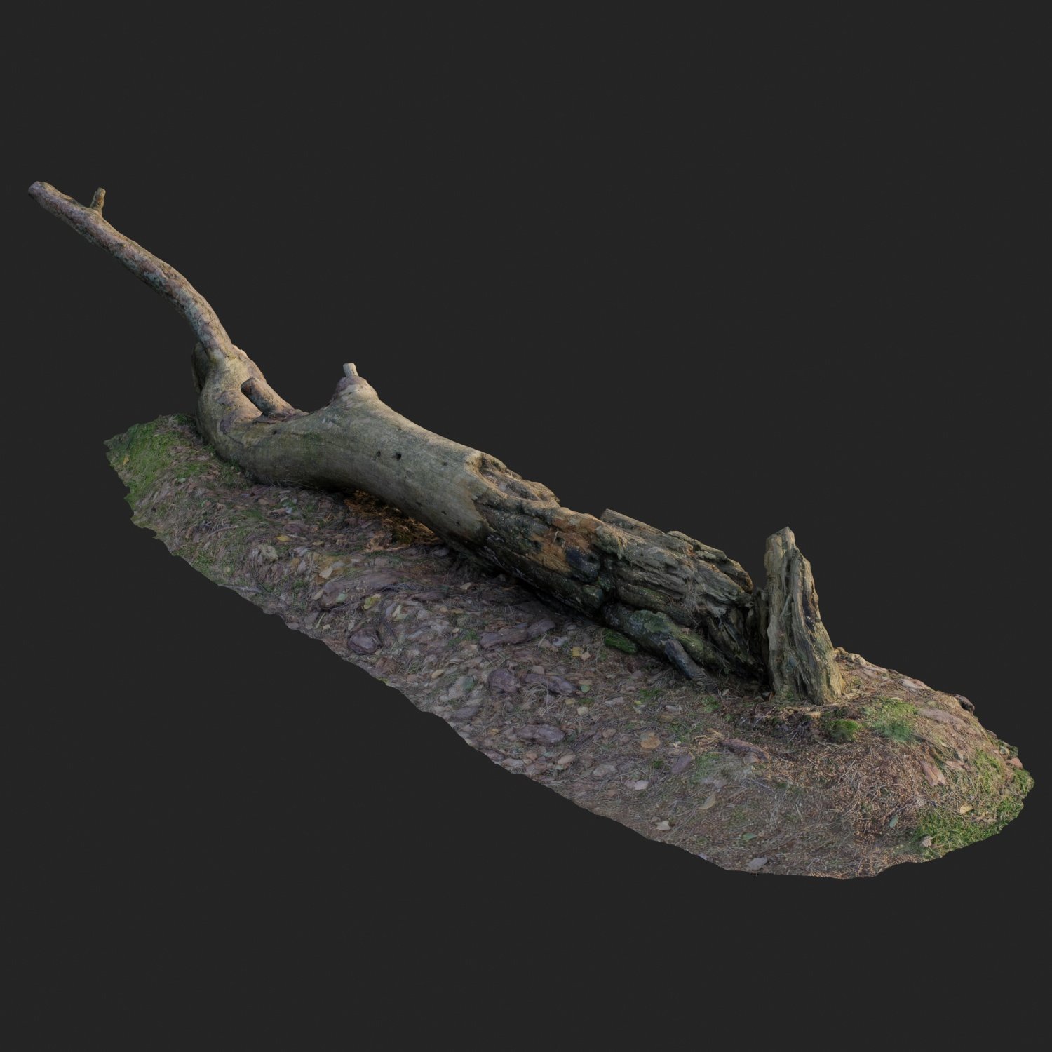 tree945.jpg