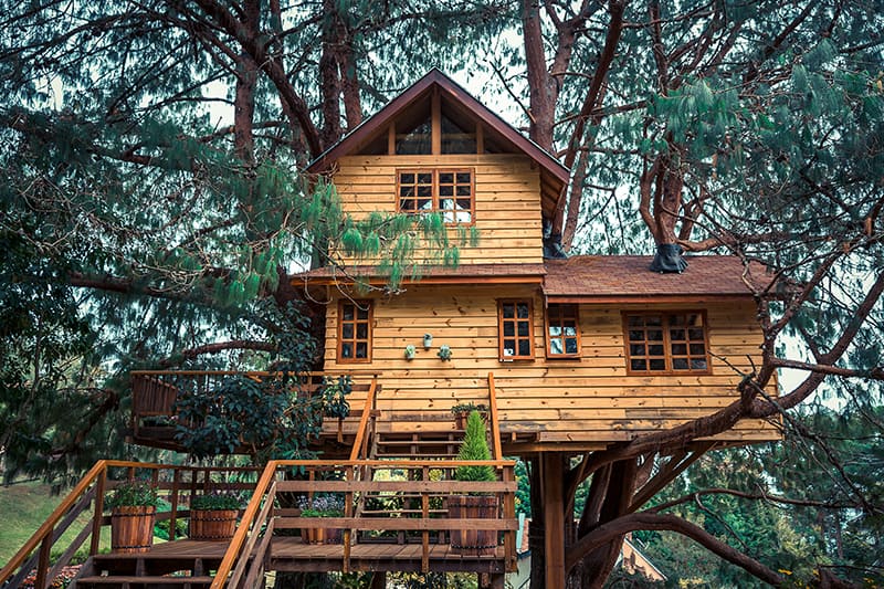 Treehouse.jpg