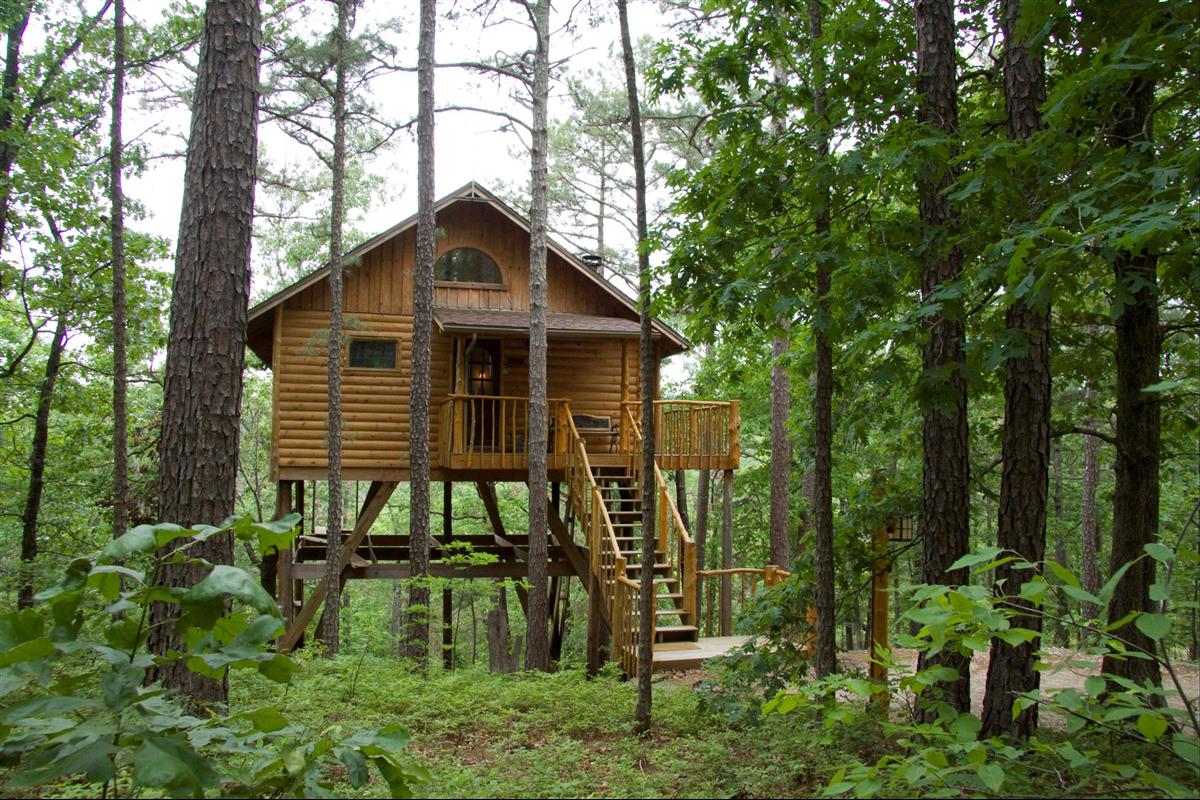 treehouse2.jpg