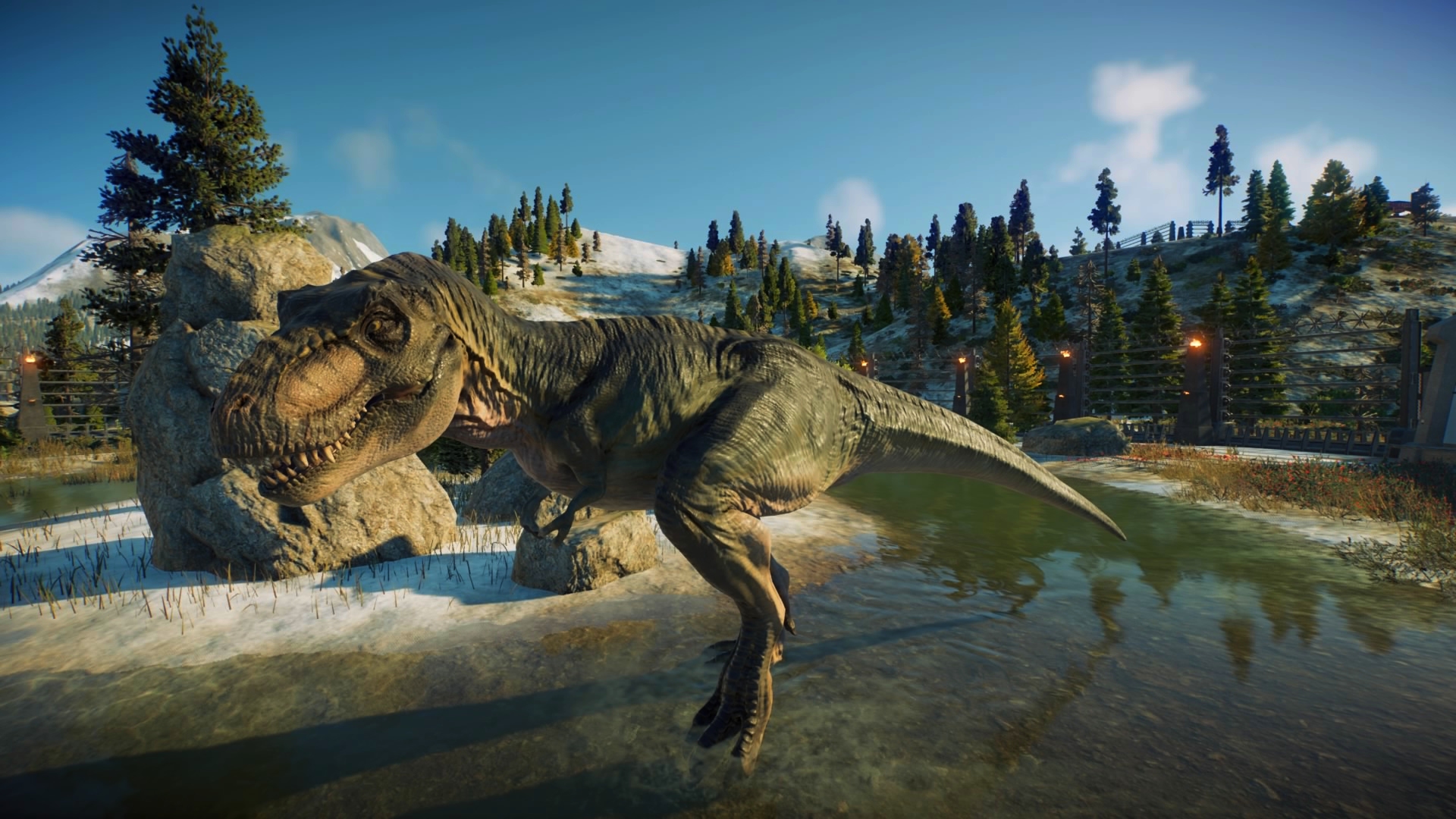 trex1.jpg