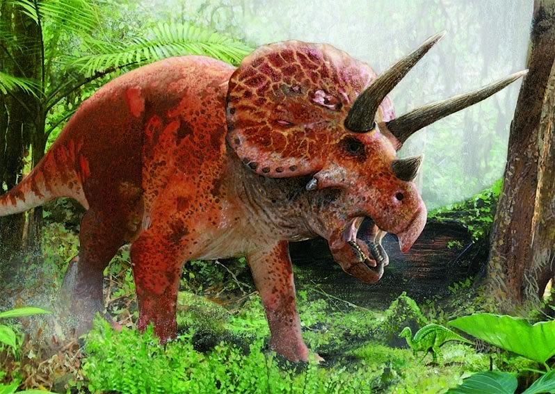 triceratops-2.jpg