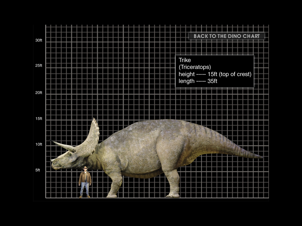 Triceratops CD.jpg