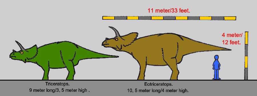 Triceratops-Eotriceratops-size-comparison_460e.jpg
