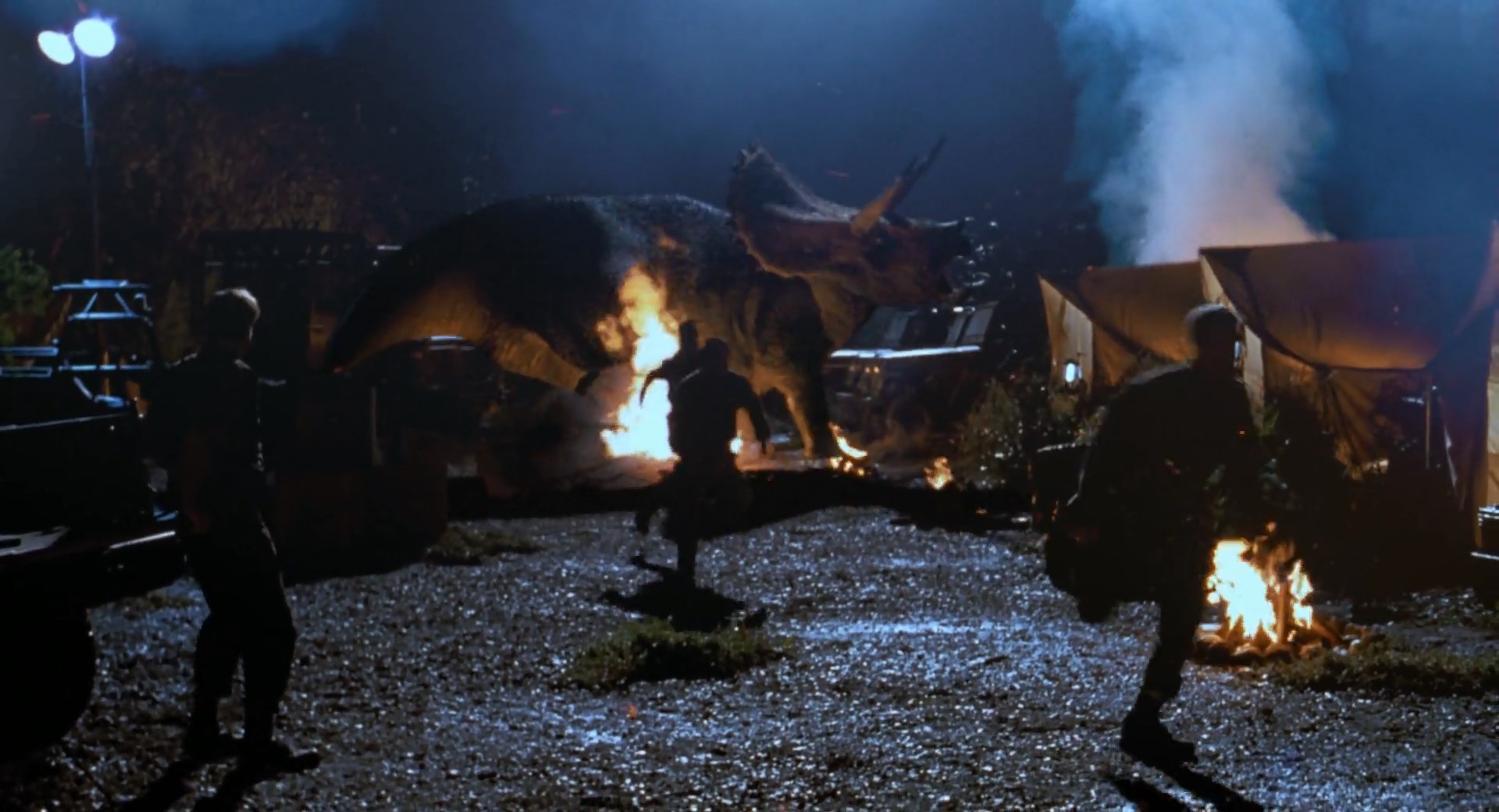 triceratops04.jpg
