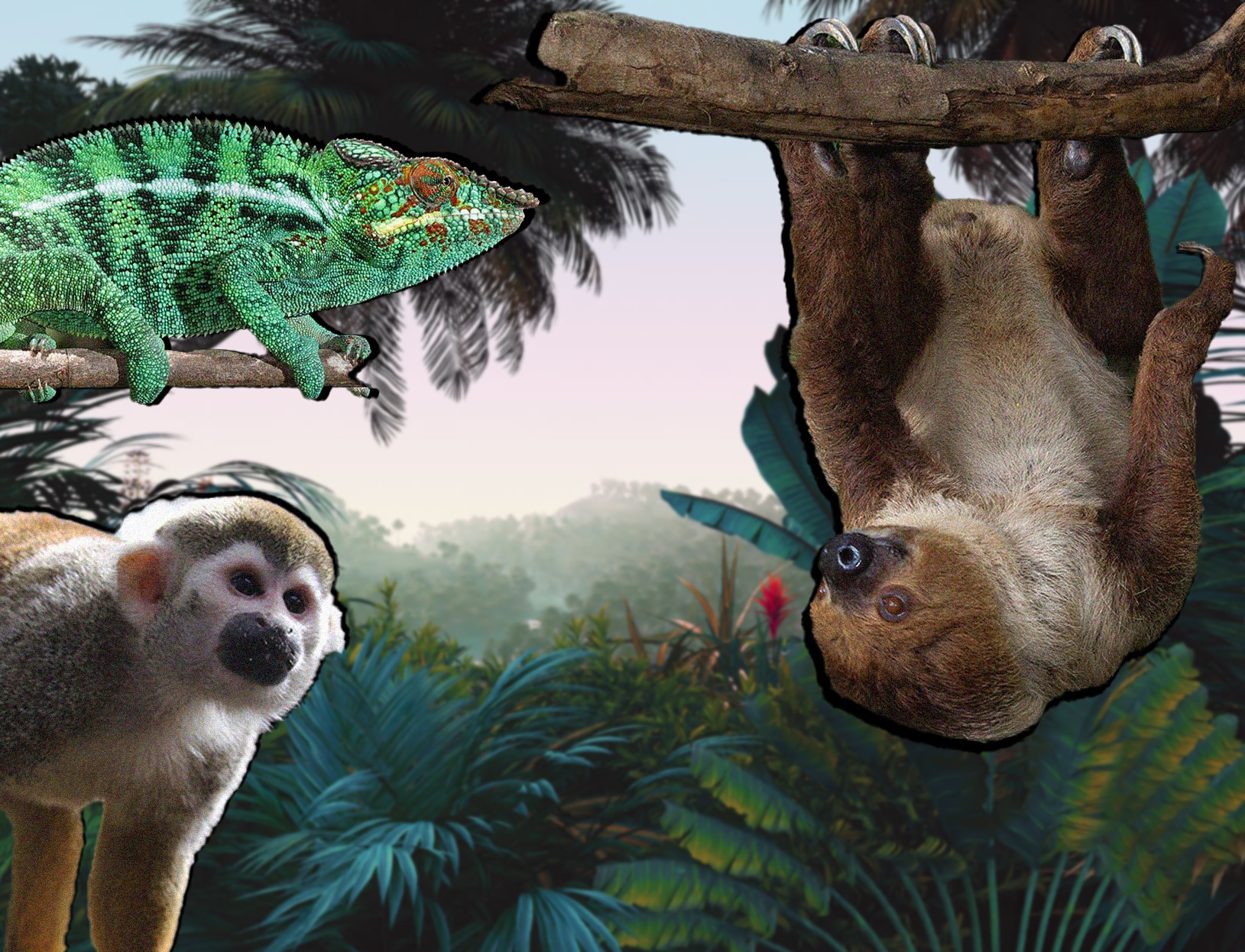 tropical-forest-wishlist.jpg