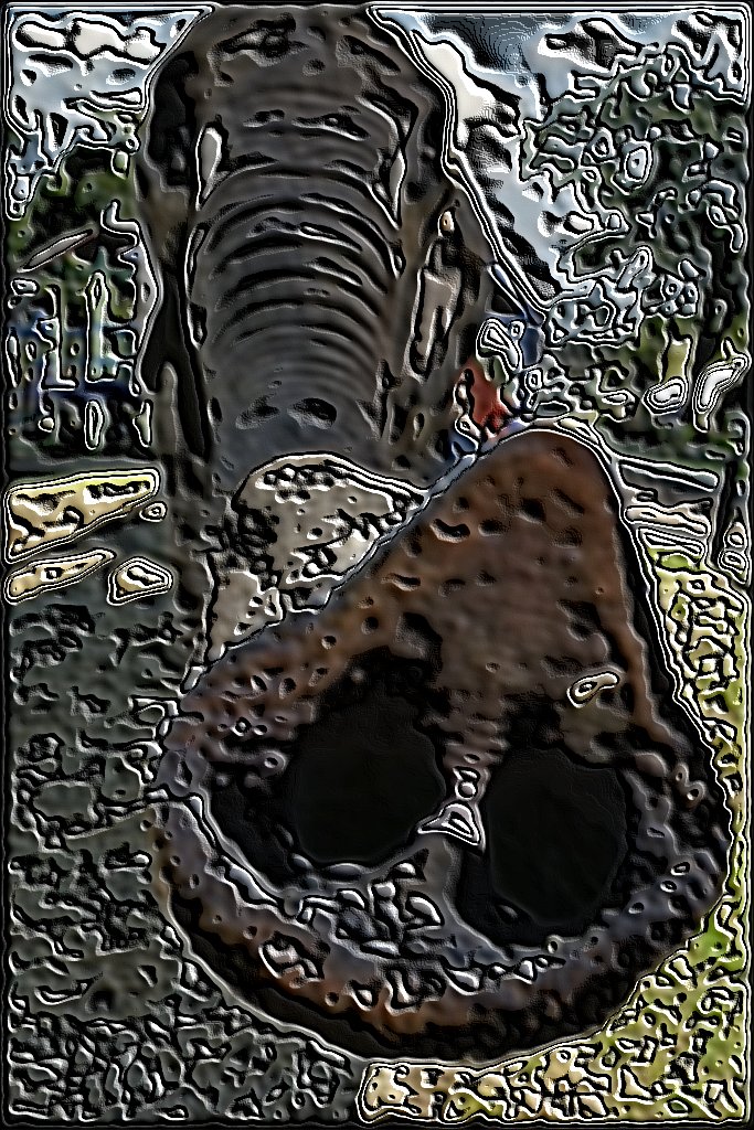 trunk.jpg
