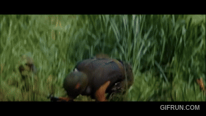TTH.gif