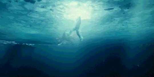 tumblr_a156475706658a20f45957ad738505f2_59952284_540.gif