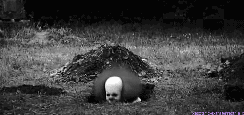 tumblr_b30d0f9575e919695afaac426cde28e6_d9dd22c6_500.gif