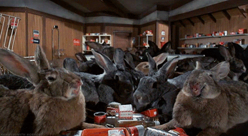 tumblr_bb028d5fc9345d8722b04241c37c0117_3fc91ba0_500.gif
