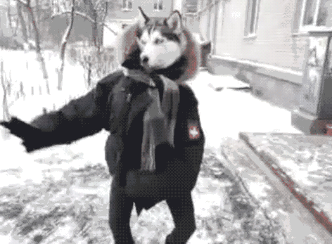 tumblr_ln1q95KpaH1qbbpaoo1_500.gif