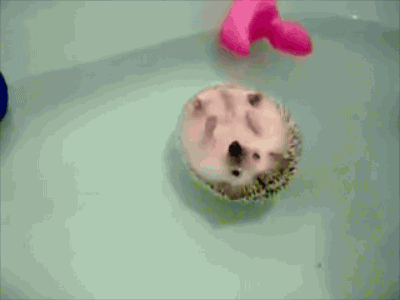 tumblr_mvokctbsIJ1rq1pj8o1_400.gif