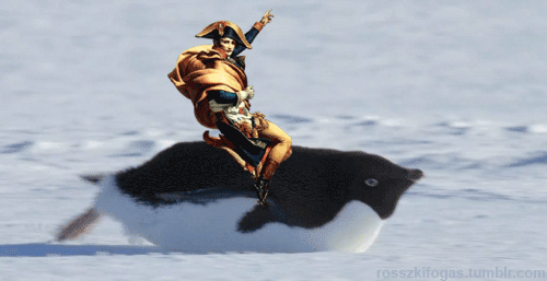tumblr_mymzqtopUI1qfx620o1_500.gif