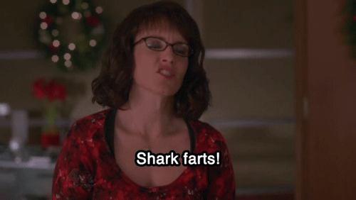tumblr_mzgs13sozy1sz1s1wo1_500.gif