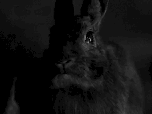 tumblr_n4adgj0yWx1t2w5qzo1_r2_500.gif