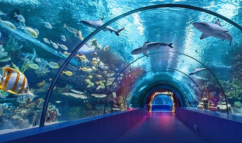 tunnel-fish-aquarium-500x500.jpg