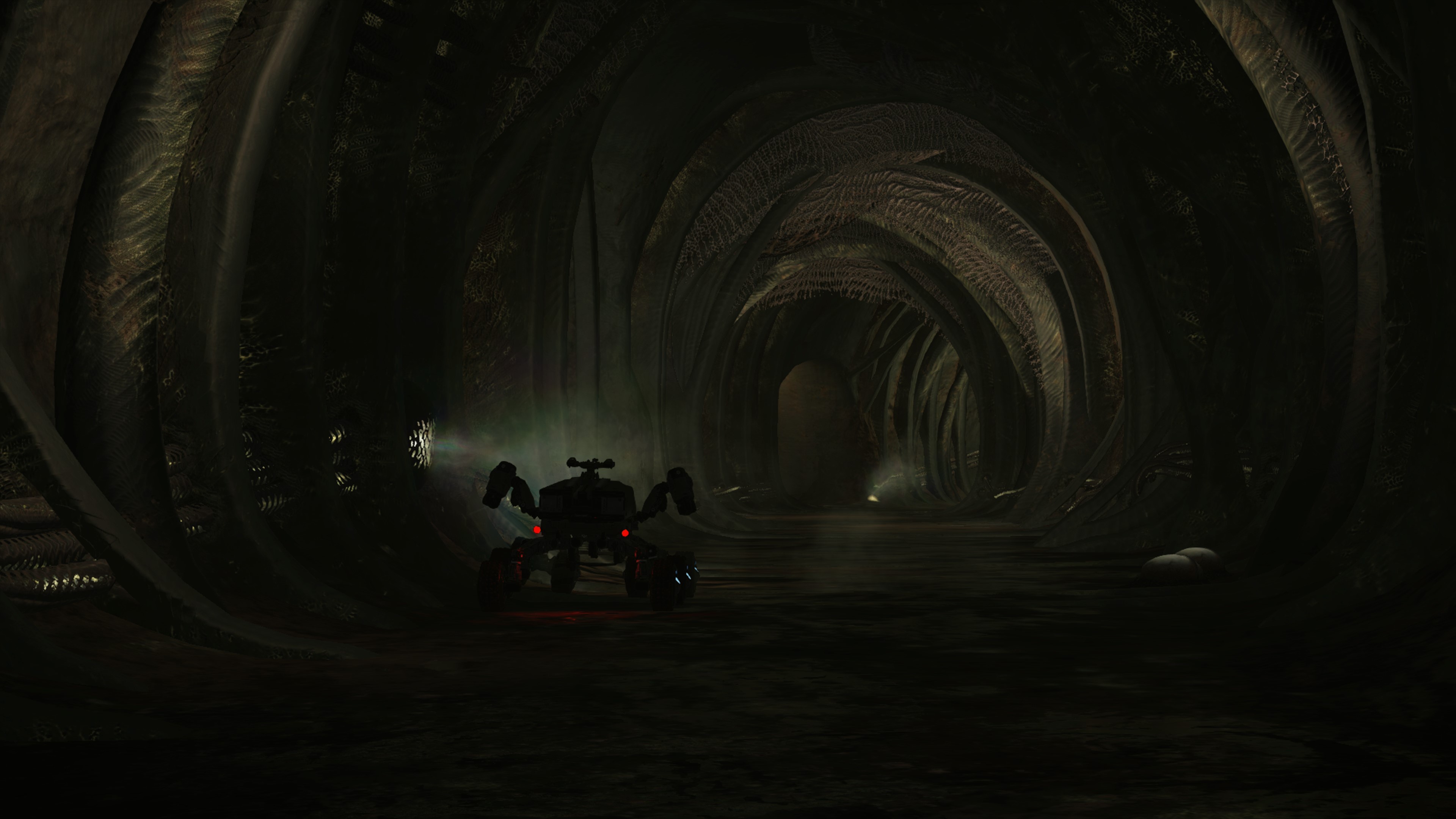 Tunnel.jpg