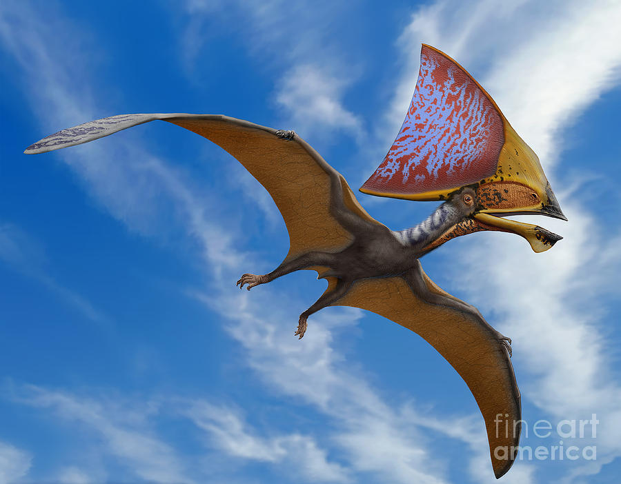 tupandactylus-imperator-a-pterosaur-sergey-krasovskiy.jpg