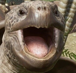 turt.png