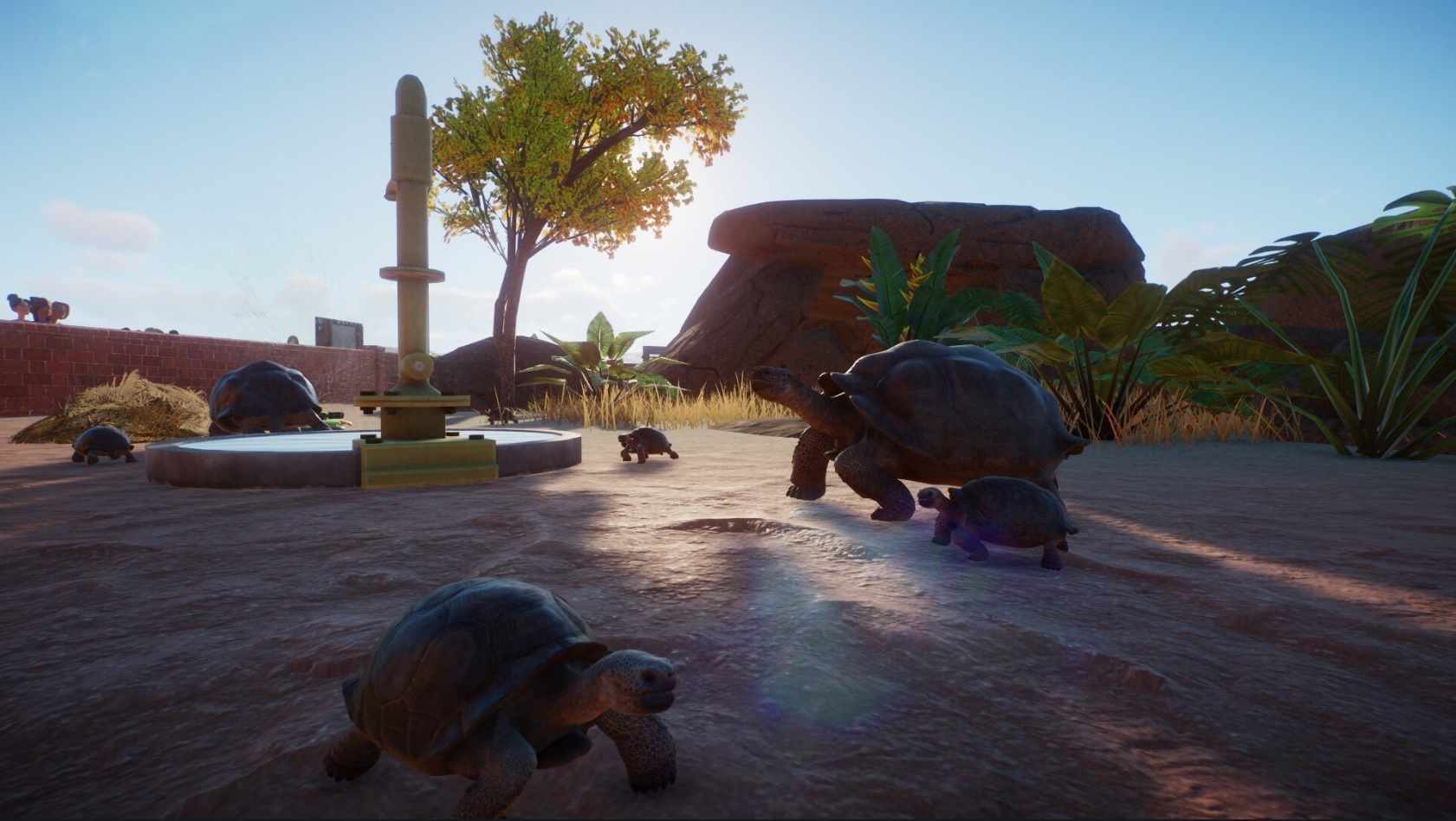 turtle town.jpg