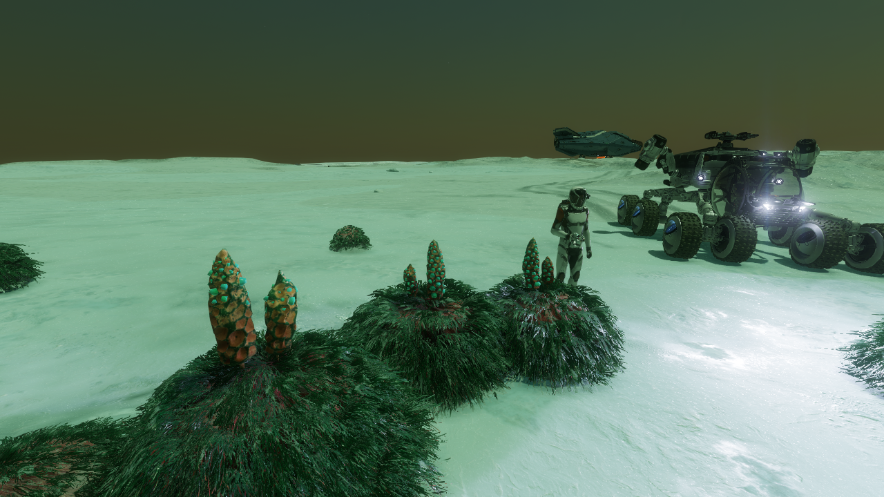 Tussock 02.png