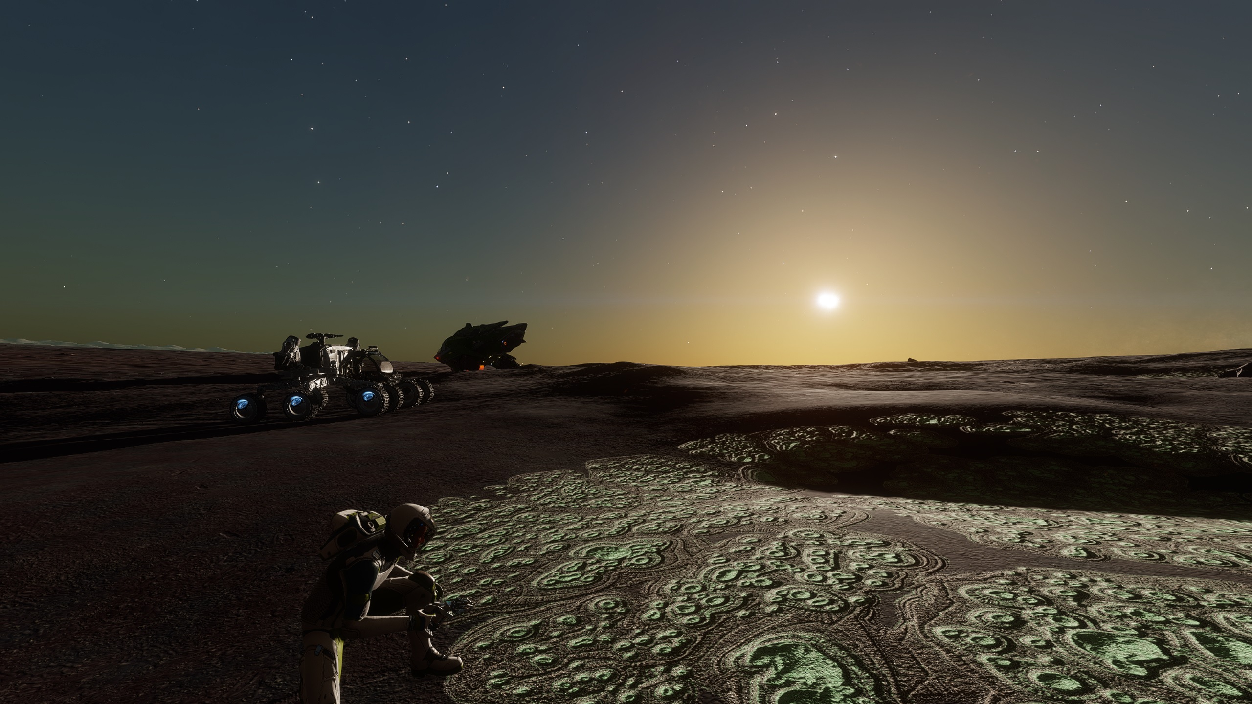 twin suns.jpg