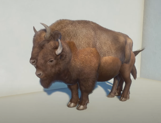 Two Bison Old.png